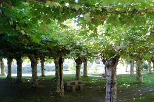 Aire de Maubourguet