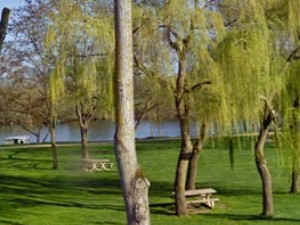 Aire du camping