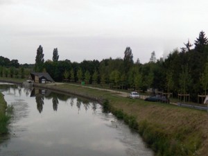 Bout de Bois