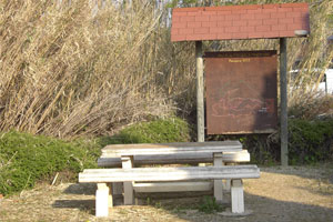 Jardin de Bacchus