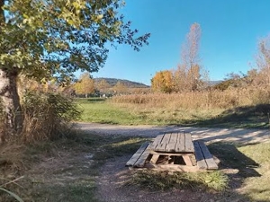 Plan d'eau de la Riaille