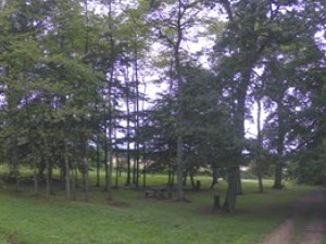Aire de Boncourt-le-Bois