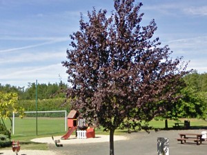 Aire de Braud-et-Saint-Louis