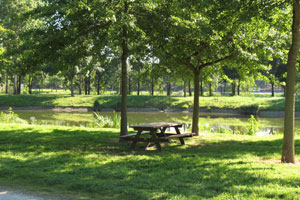 Plan d'eau du Layon