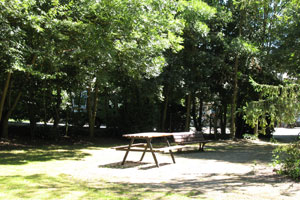 Bords du Layon