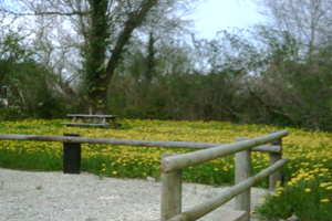 Les Rivières d'Anais