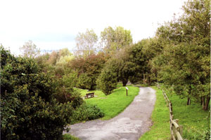 Parc des Graves