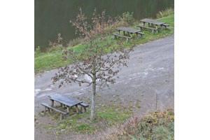 Aire de l'étang