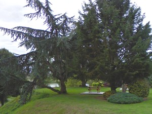 Aire au bord du bois