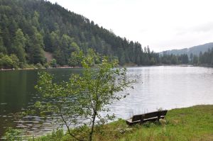 Lac des Corbeaux - La Bresse