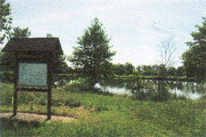 Etang de la Clérissière