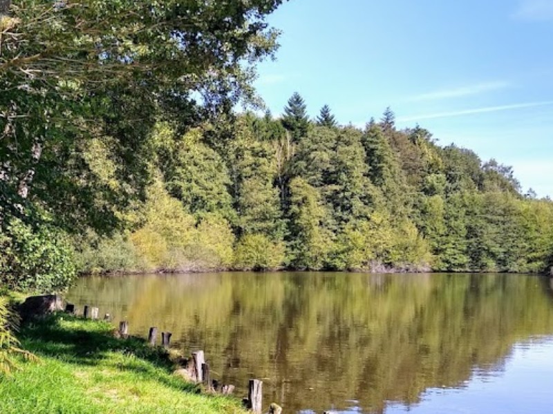 Etang Lallemand