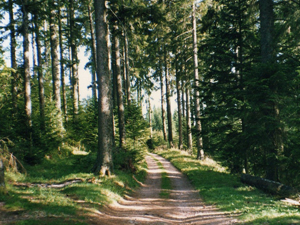 Aire du col du Bonhomme