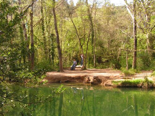 Les bords du Caramy