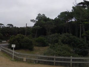 Parc Municipal du Bois Roy