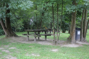 La Saligueta
