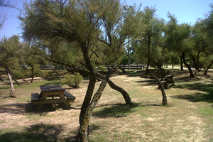 Aire de loisirs de Montamer
