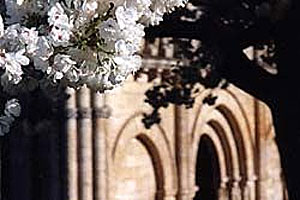 Chemin de la découverte