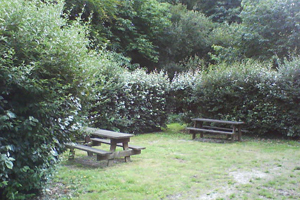 Aire de Saint-Uzec