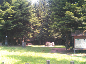 Hohwalschplatz