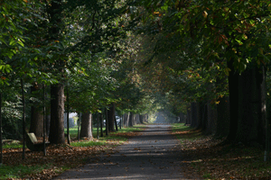 Aire de l'Allée des Marronniers