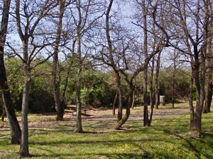 Aire d'Aigrefeuille