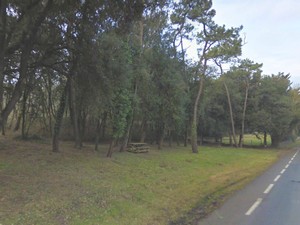 Ragounite
