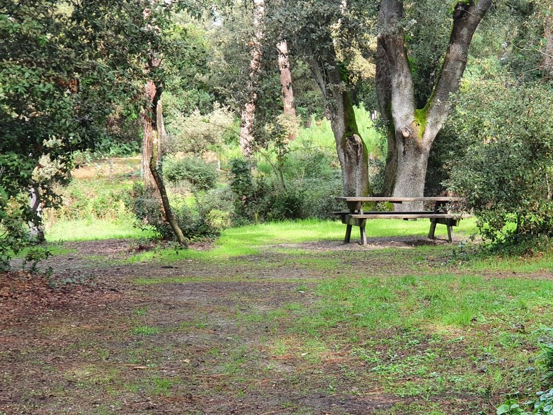 Bois de la Chaize, les Sableaux
