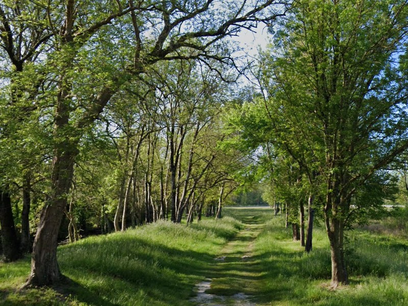Aire des Guédards