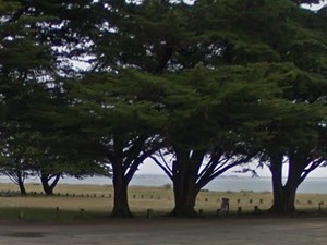 Bords de plage