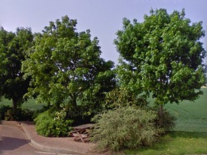 Aire de Mandres-la-Cot