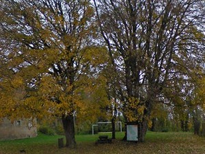 Aire de  Vigneulles-lès-Hattonchâtel