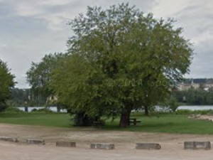 Aire d'Albigny-sur-Saône