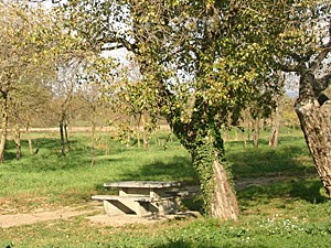 Aire de loisirs de Bourbaki