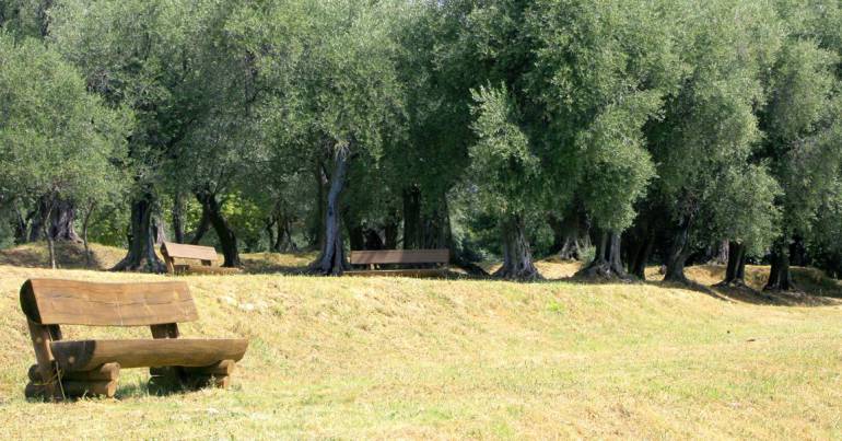 Le Parc d'Estienne d'Orves