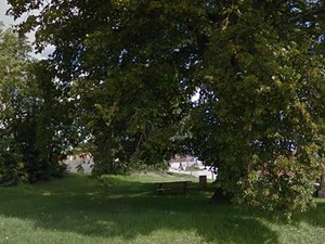 Sous les Tilleuls