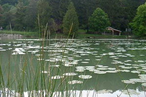 Aire de l'Etang de Poiseul-la-Grange