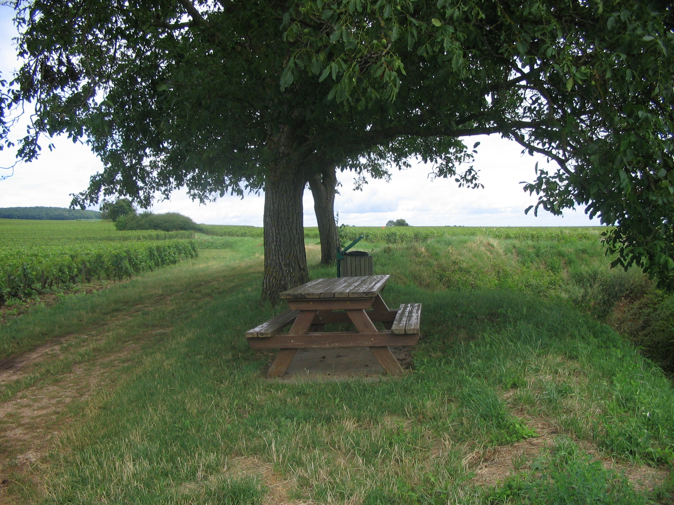 Aire des lavières