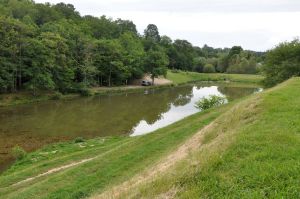 Etang des 3 merlettes
