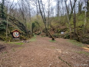 La source du Beaujolais