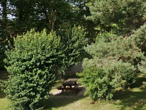 Lacourt-Saint-Pierre