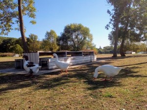 Aire du Lac de l'Onglais