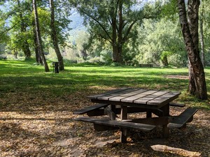 Espace Naturel Sensible du Marais de Montfort