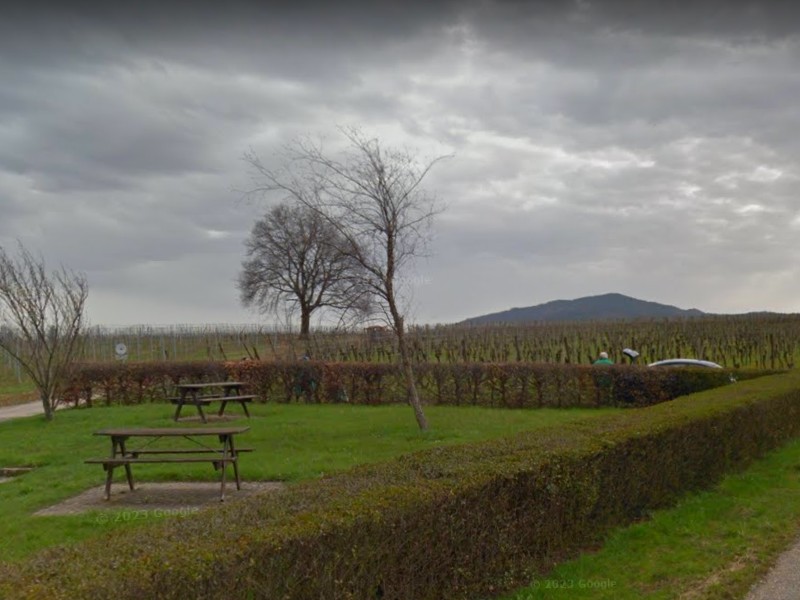 Aire des vignes