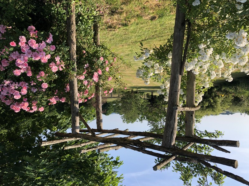 Les jardins d’ordesa