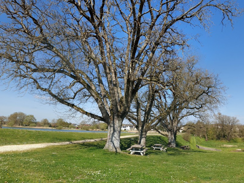 Aire du Lac du Louroux