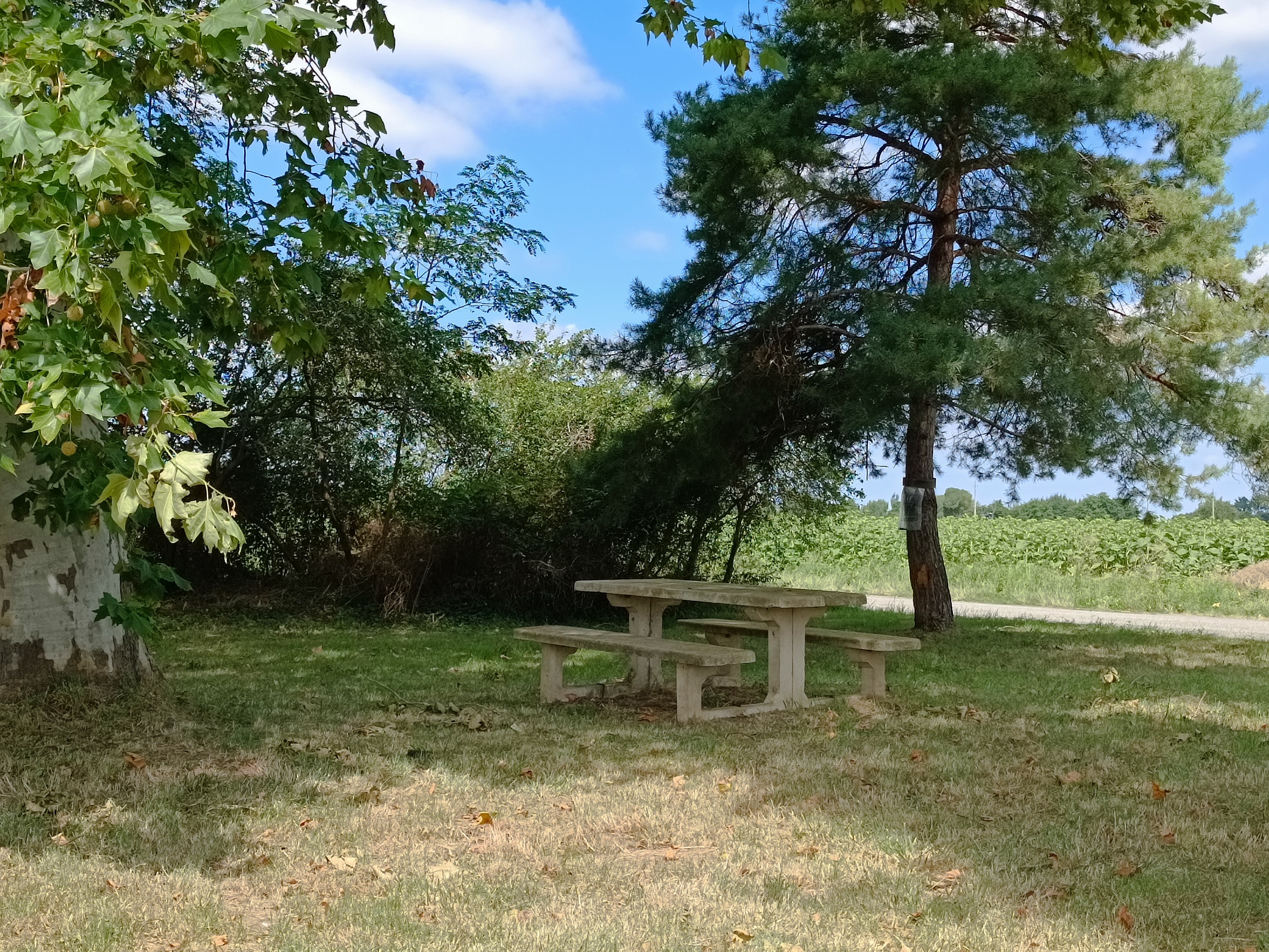 Aire de la Bastide de Lordat