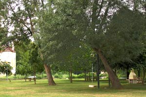 Aire de pique-nique