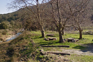 Aire des jardins traditionnels