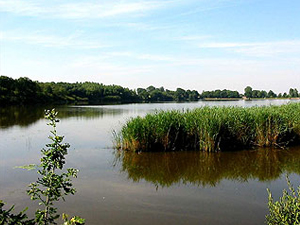 Etang de Péronne